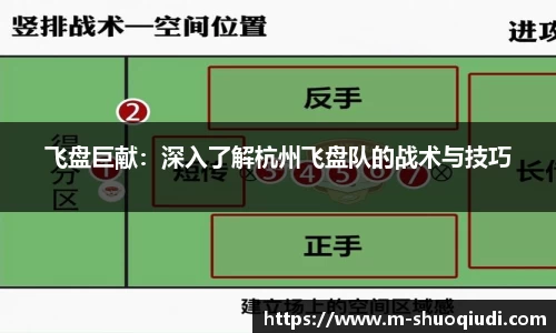 飞盘巨献：深入了解杭州飞盘队的战术与技巧
